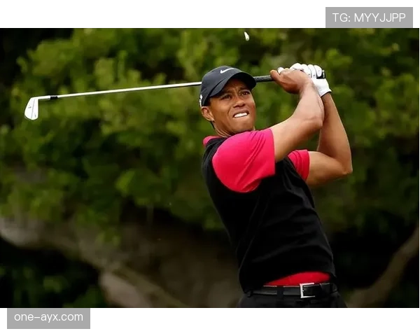 泰格·伍兹打完球回家那一刻，厨房摆得比五星酒店还讲究——我端着泡面默默关掉手机